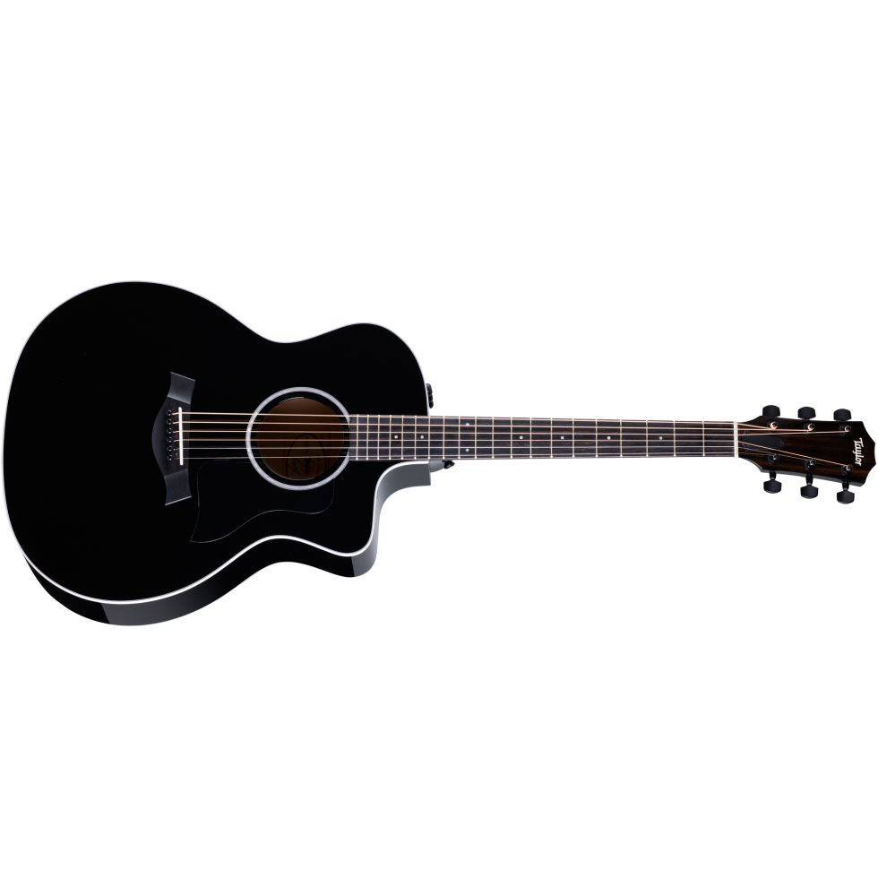 送料込み】Taylor 214ce ES2 エレアコ 本革ストラップ ケース